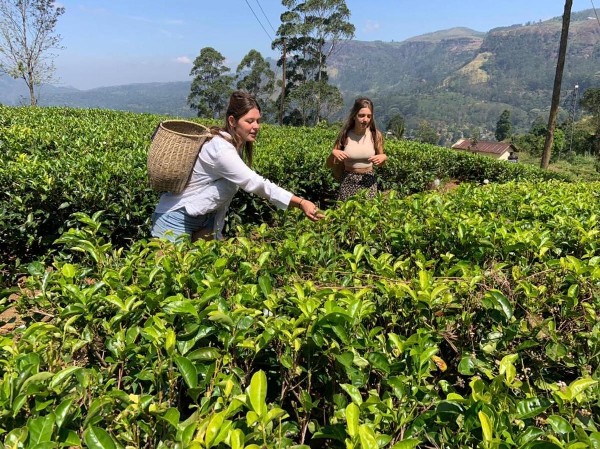Bed and Breakfast Golden King Guest Nuwara Eliya Exterior foto
